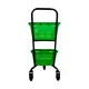 Carrinho de compras compacto duplo 50 litros verde
